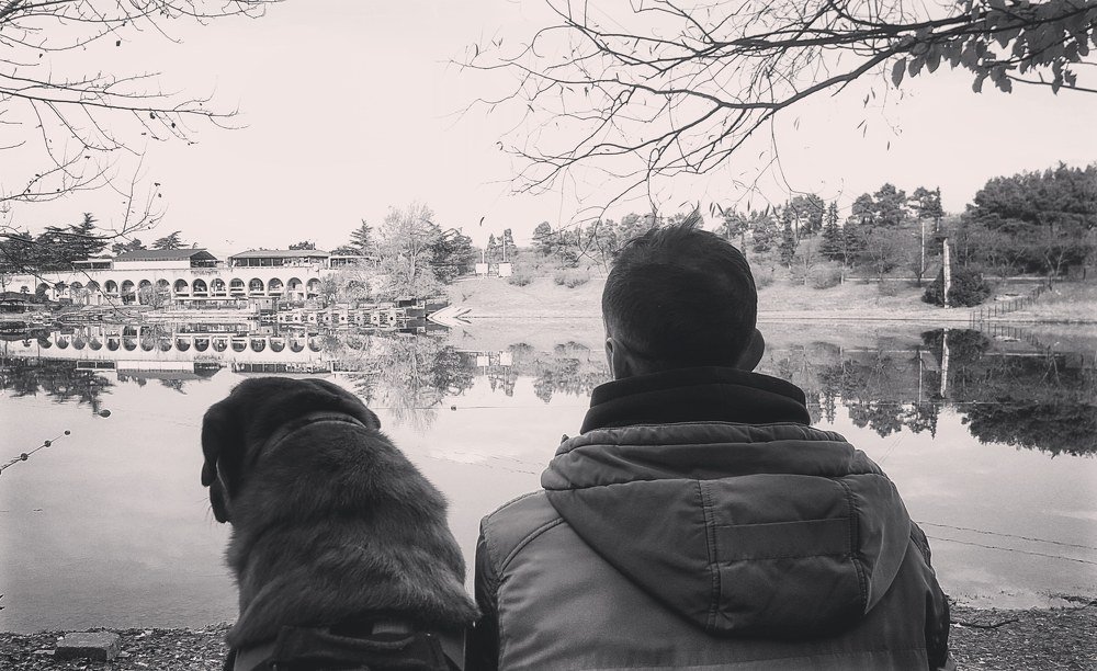 У каждого человека должна быть собака