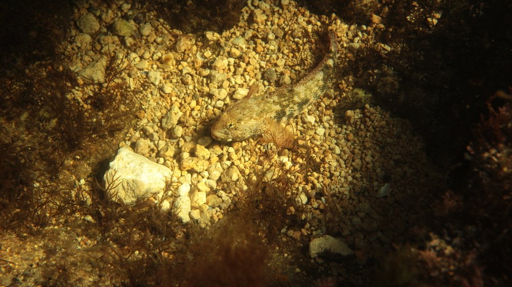 Photograph by Владимир Ясюкевич