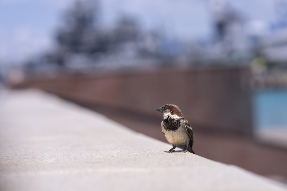 Photograph by Ксения Щербакова