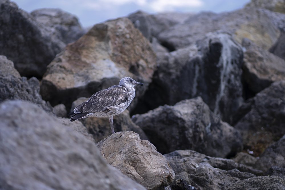 Photograph by Ксения Щербакова