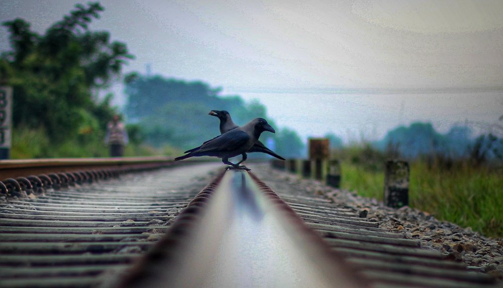 Photograph by Tanvir Ahmed Patwary