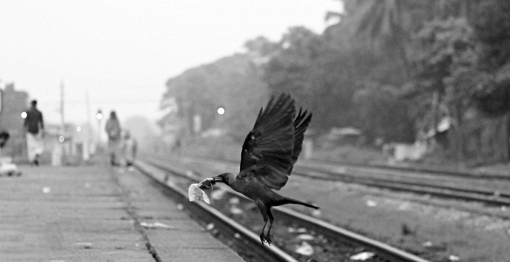 Photograph by Tanvir Ahmed Patwary