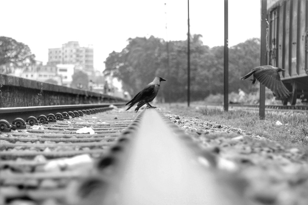 Photograph by Tanvir Ahmed Patwary