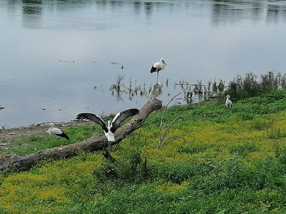 Фотография автора Danica Utjesinovic