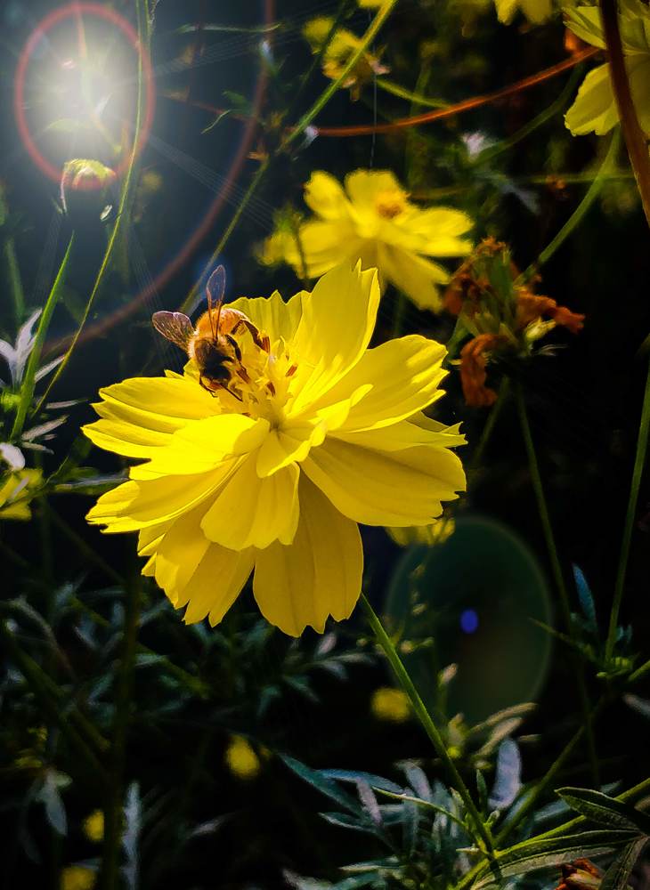 Photograph by kishan lalwani