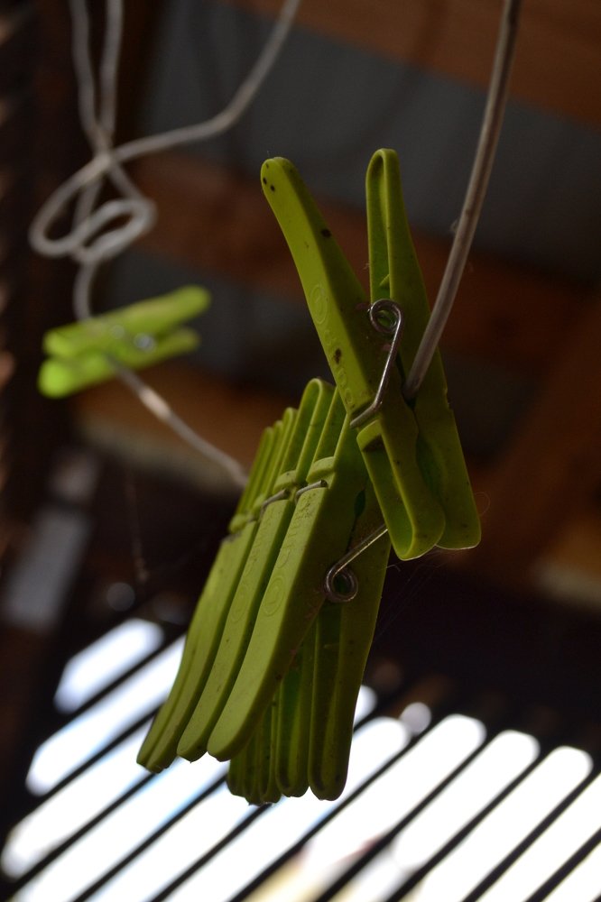 Photograph by Tsina Palynskaya