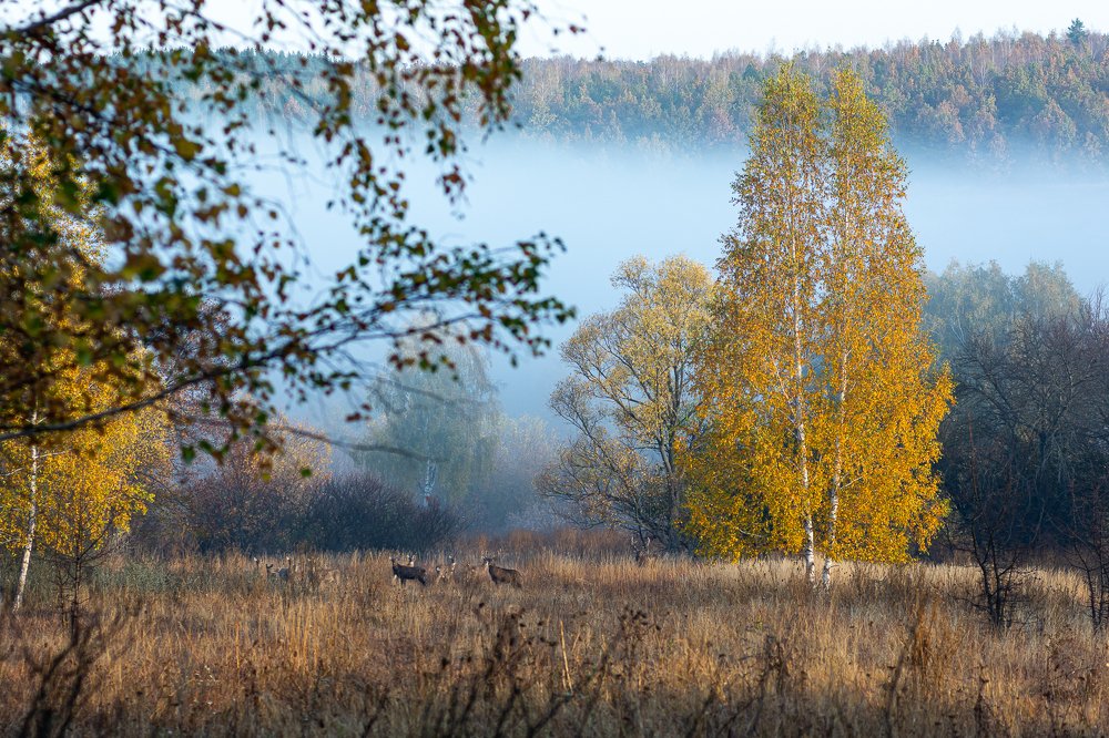 Photograph by Алексей Кузьмин
