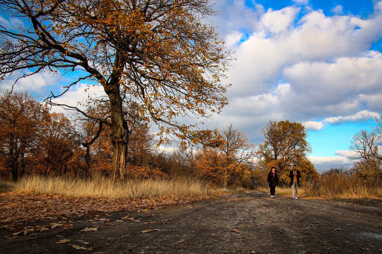 Autumn