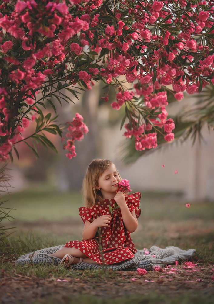 Photograph by Nadia Nadezda