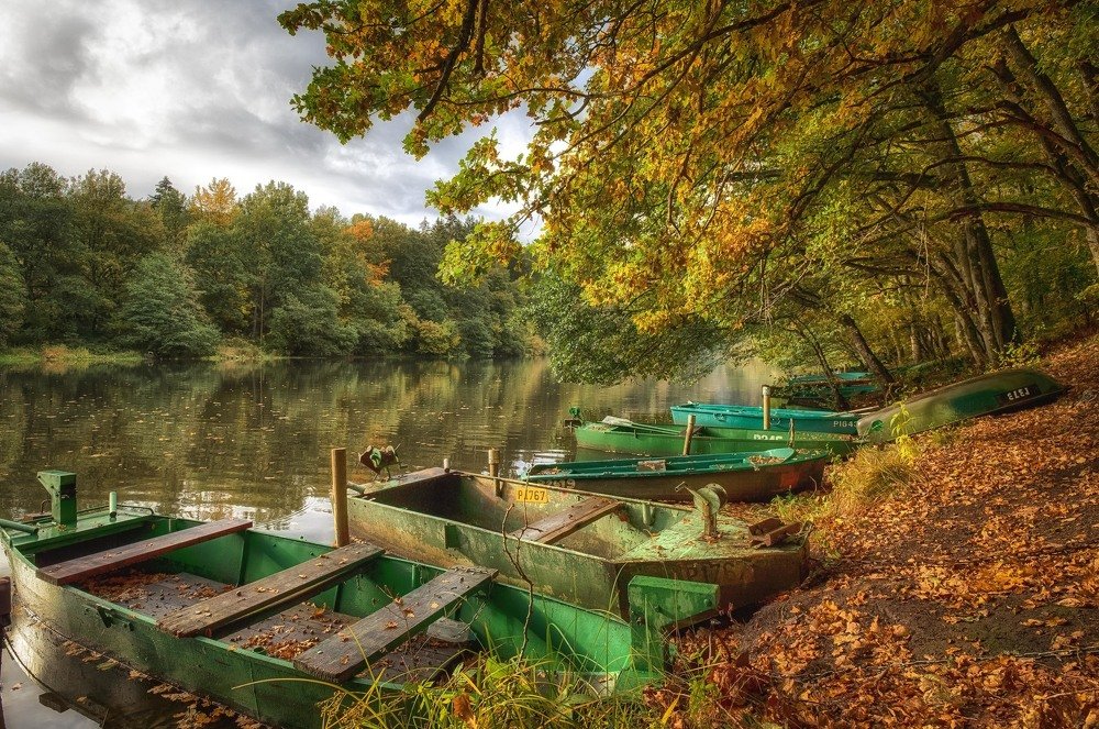 Photograph by Guy Krier