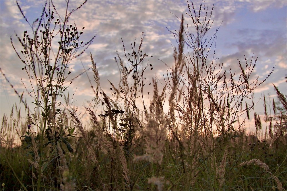 Photograph by Katerina