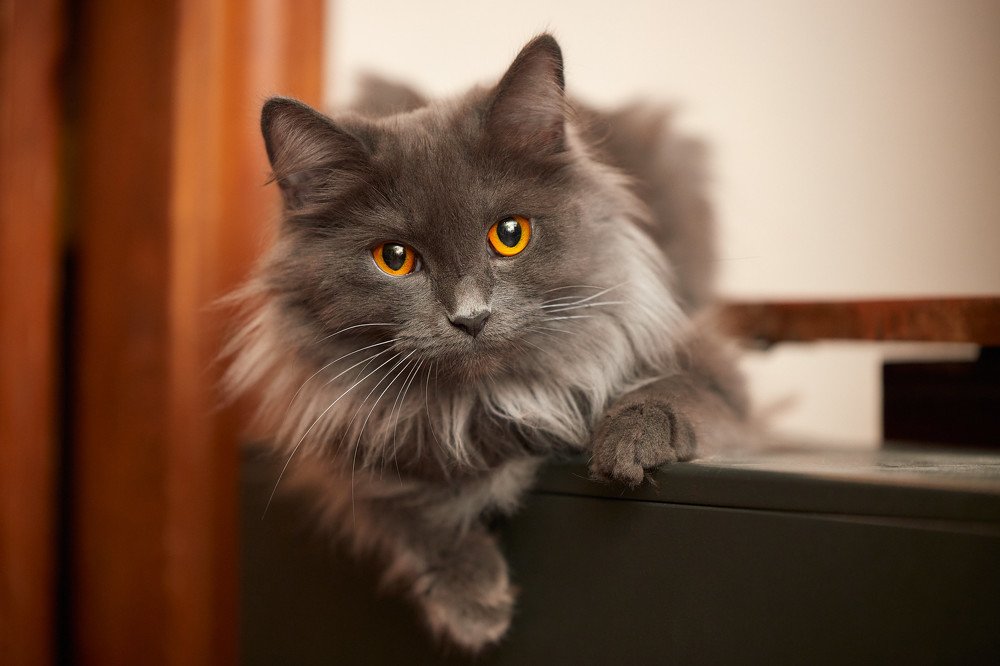 Photograph by Алексей Родченко