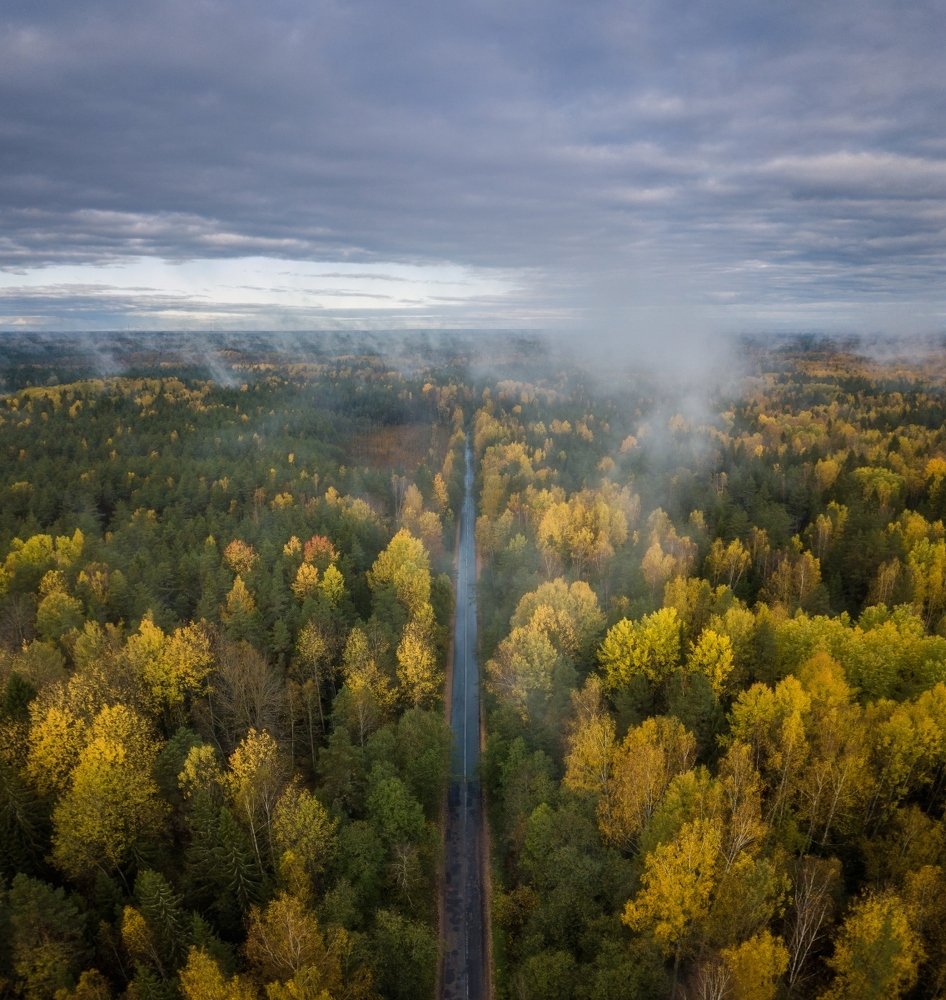 Photograph by Roman Dmitriev