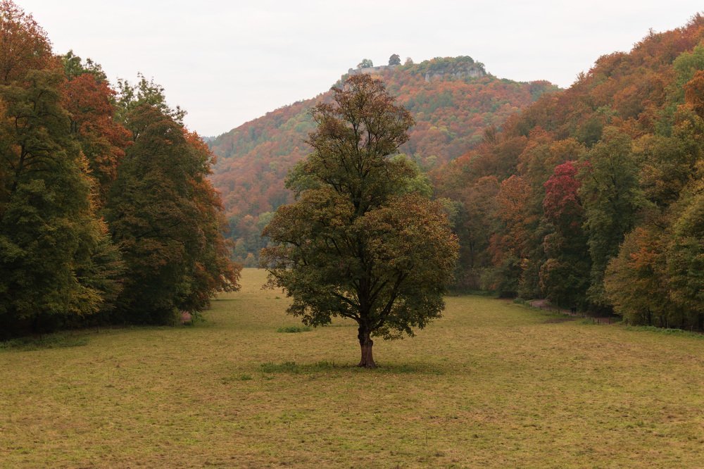 Photograph by Людмила Комарова
