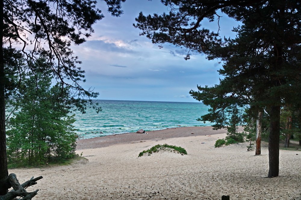 Photograph by Валерий Сладков
