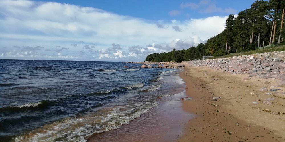 Photograph by Валерий Сладков