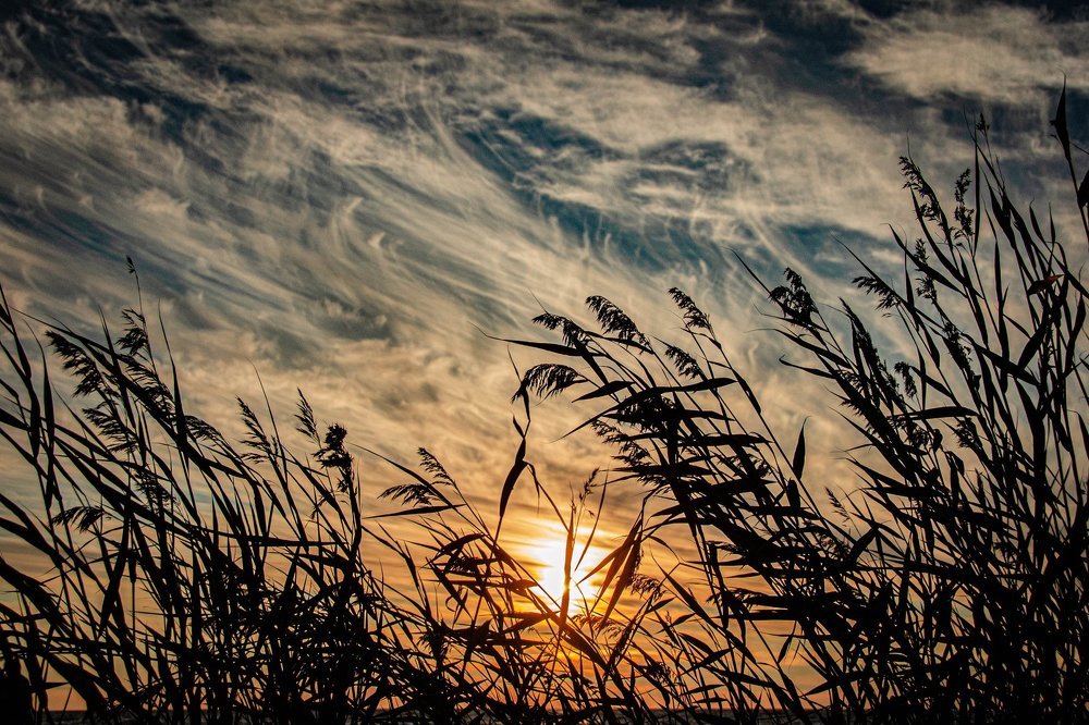 Photograph by Stella Talberg