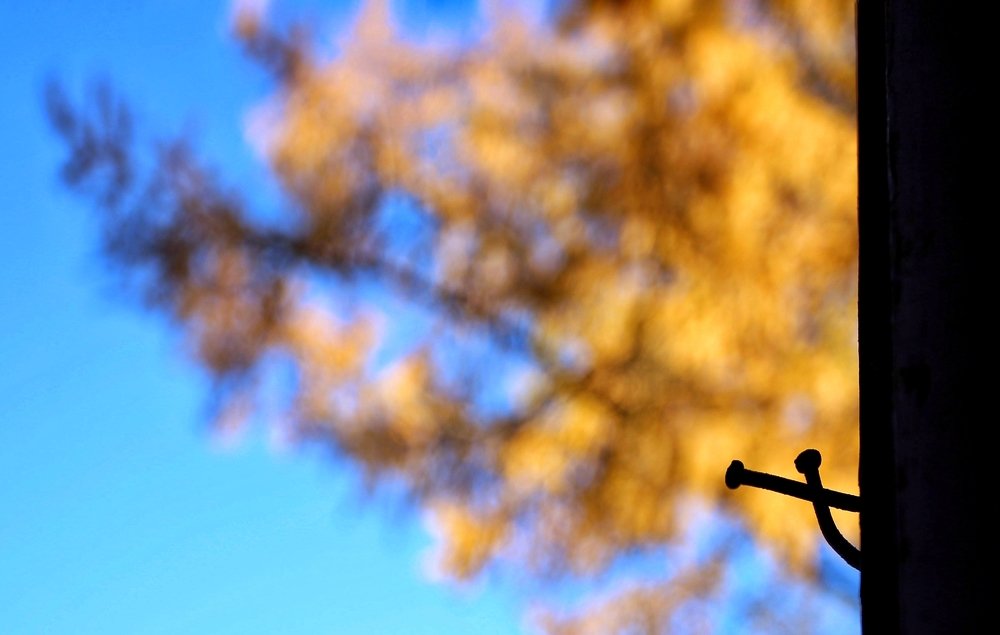 Photograph by Ирина Шумкова