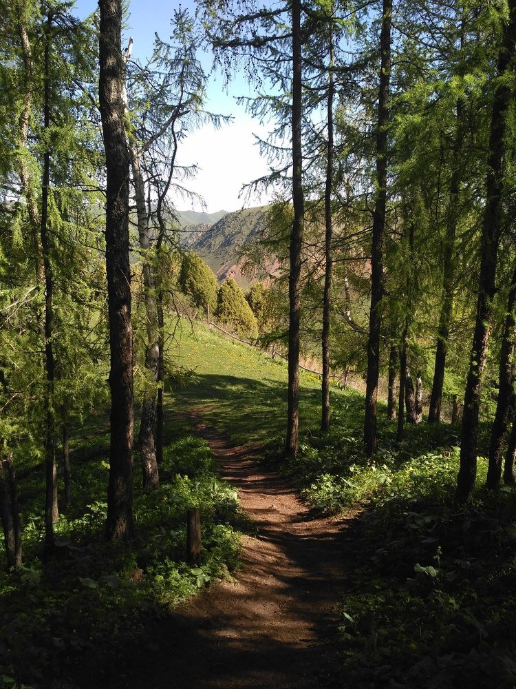 Photograph by Нурия Бикинеева