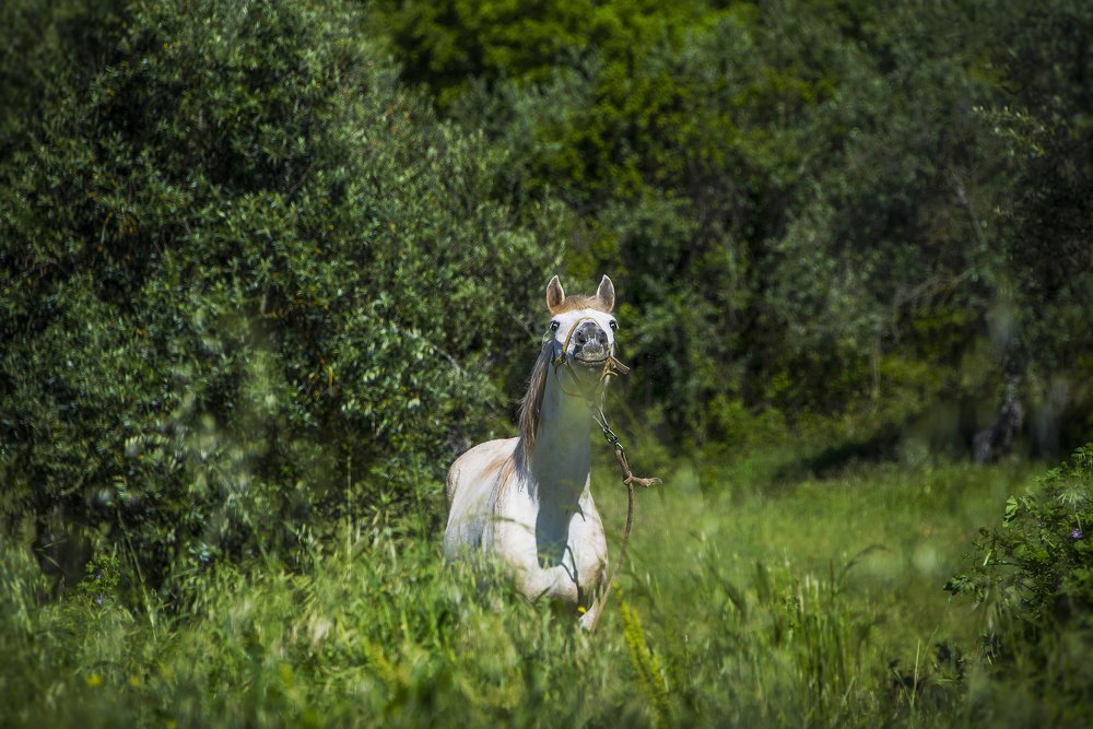 Эй, красотка, хорошая погодка!