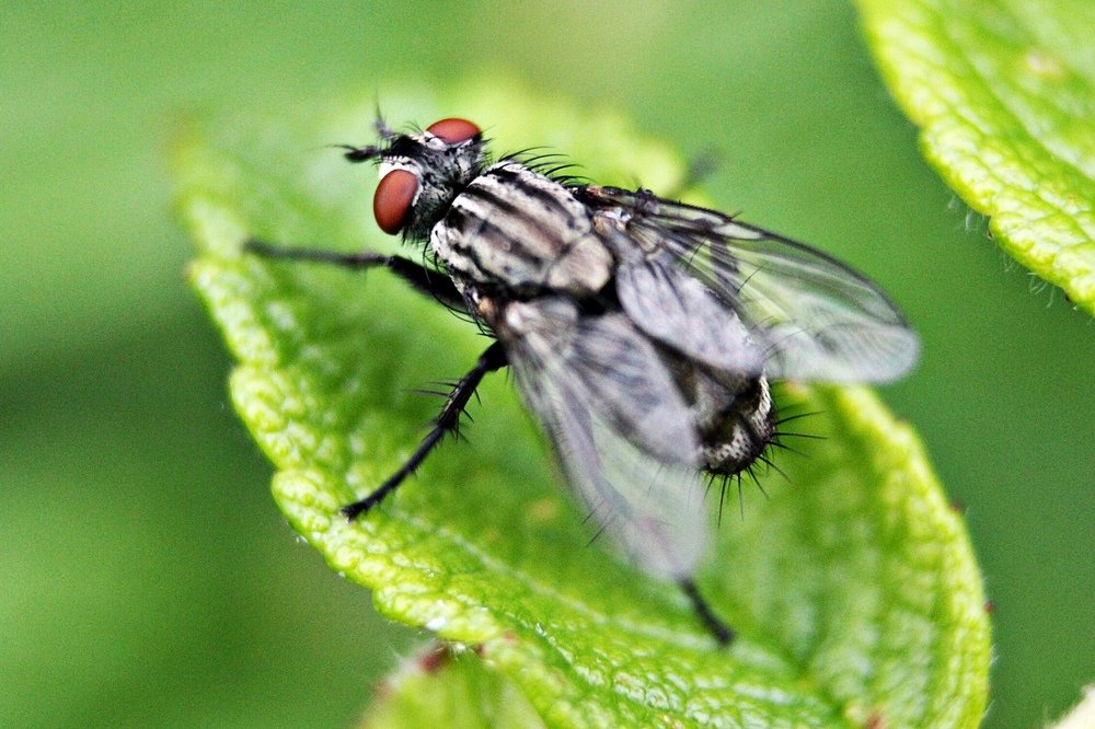 Photograph by Елизавета Силова