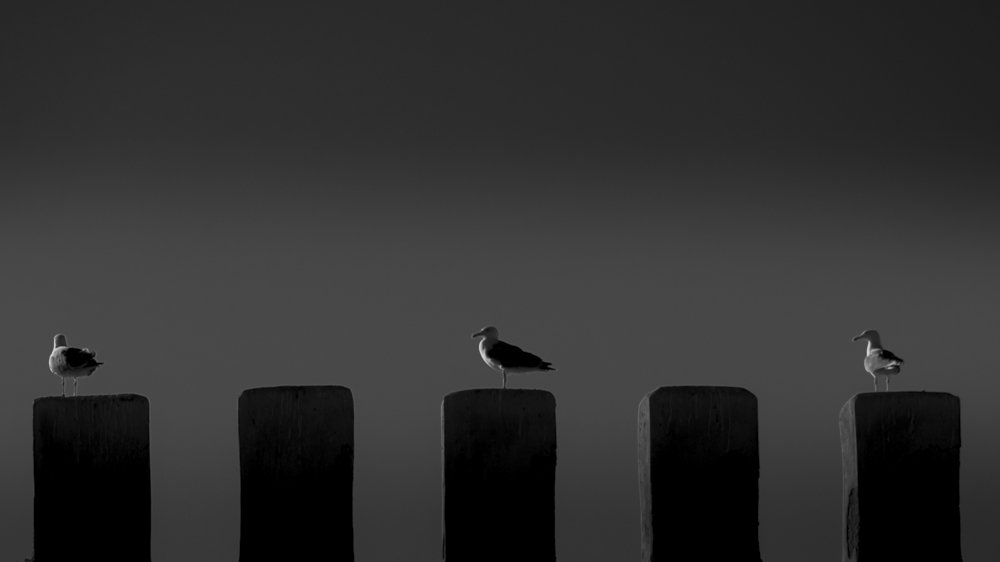 Photograph by Moulay Ahmed KASSI