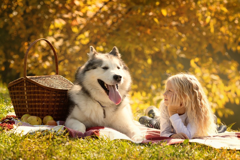 Photograph by Екатерина Коломеец