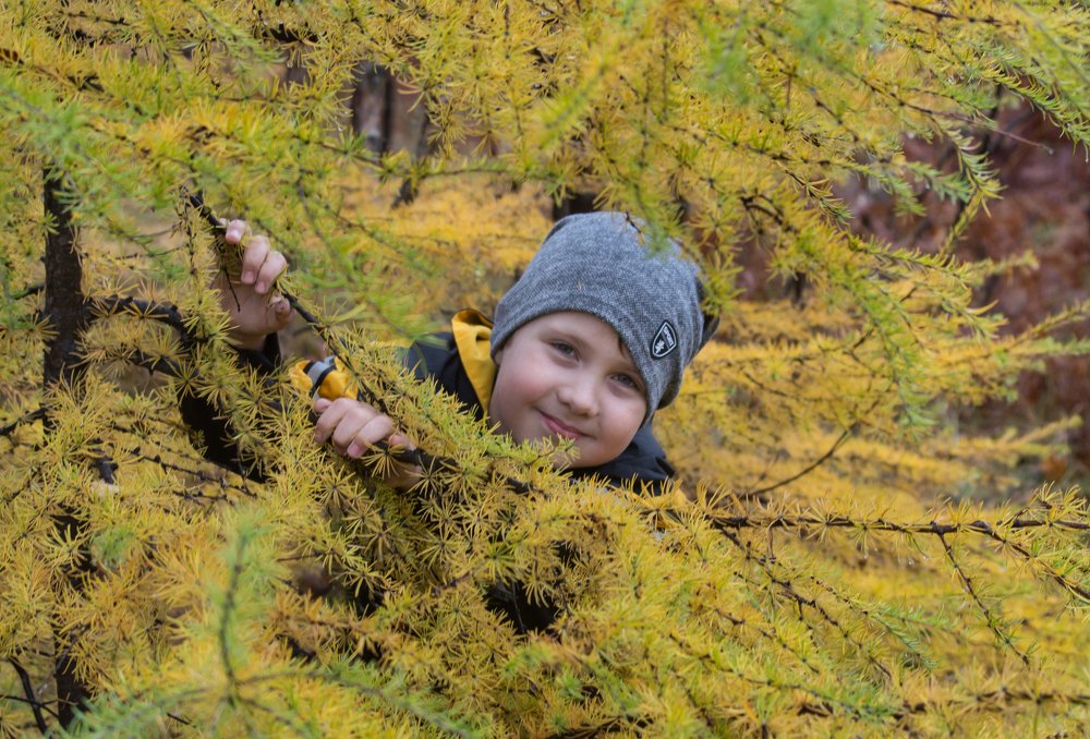 Photograph by Наталья Литвинчук