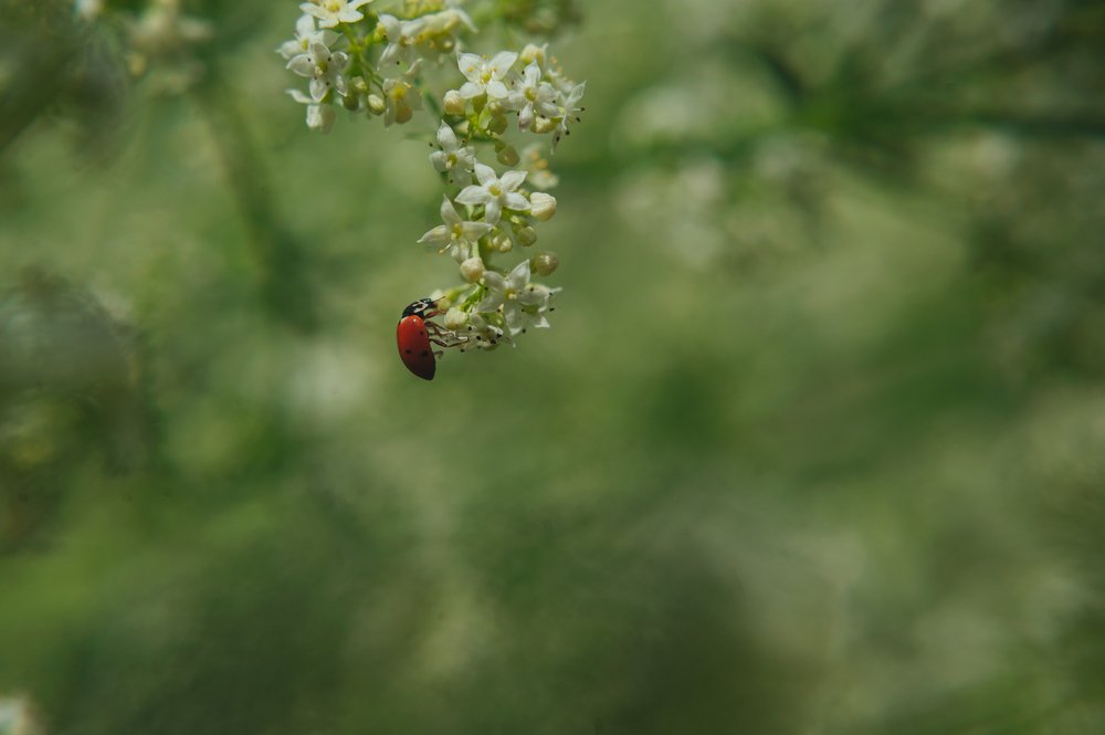 Photograph by Анна Сергеевна Стрельцова