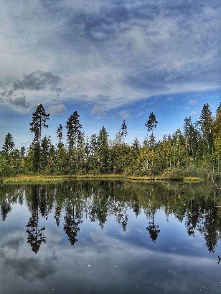 Лесное озеро.