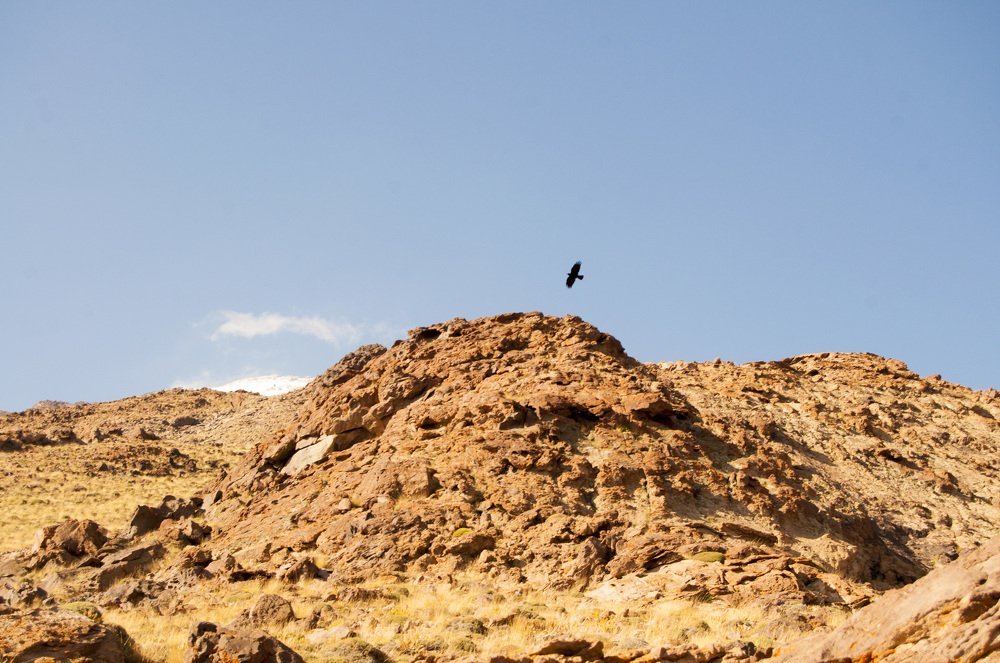 Photograph by Анастасия Езепчук