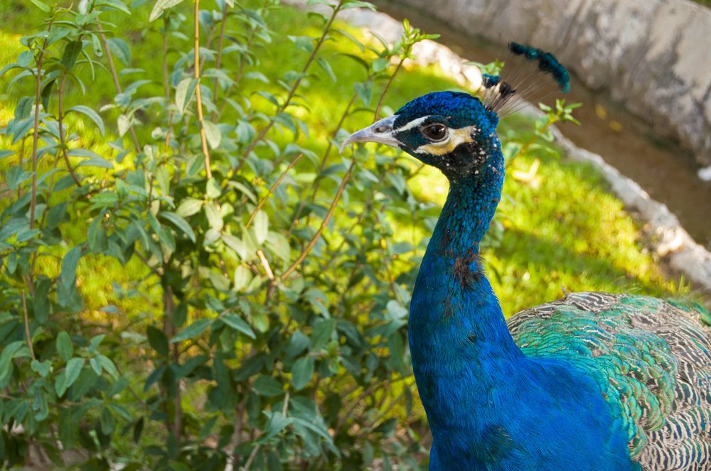 Photograph by Анастасия Езепчук