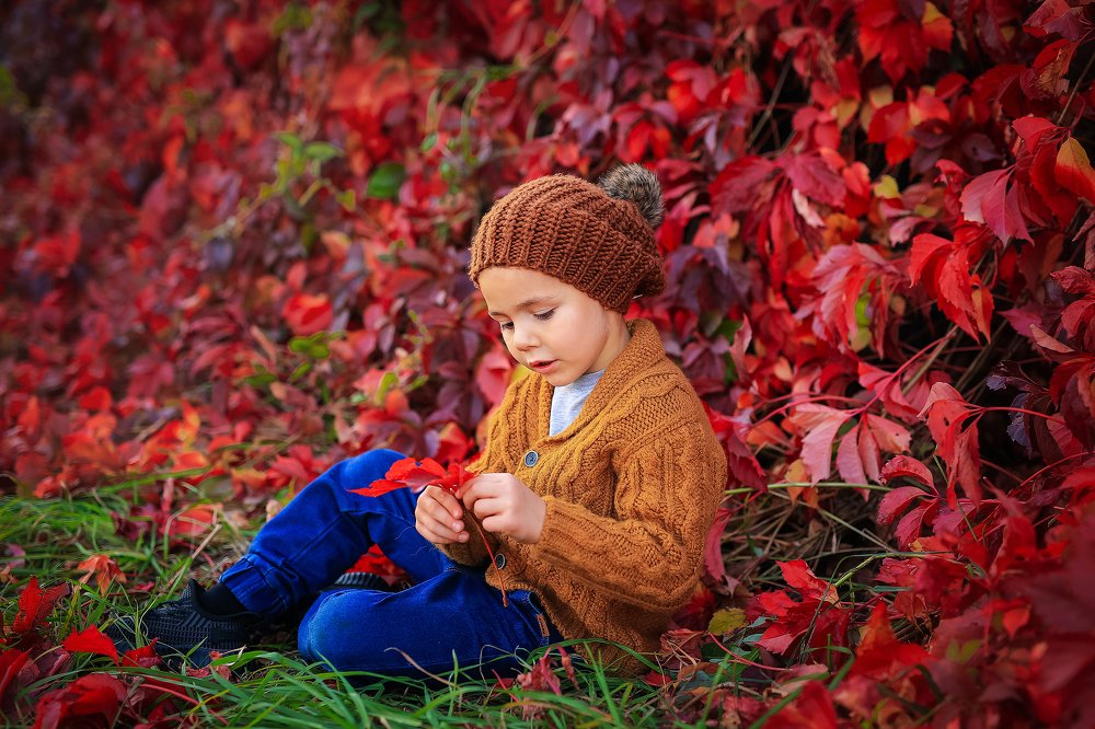 Photograph by Elena Podchishchaeva