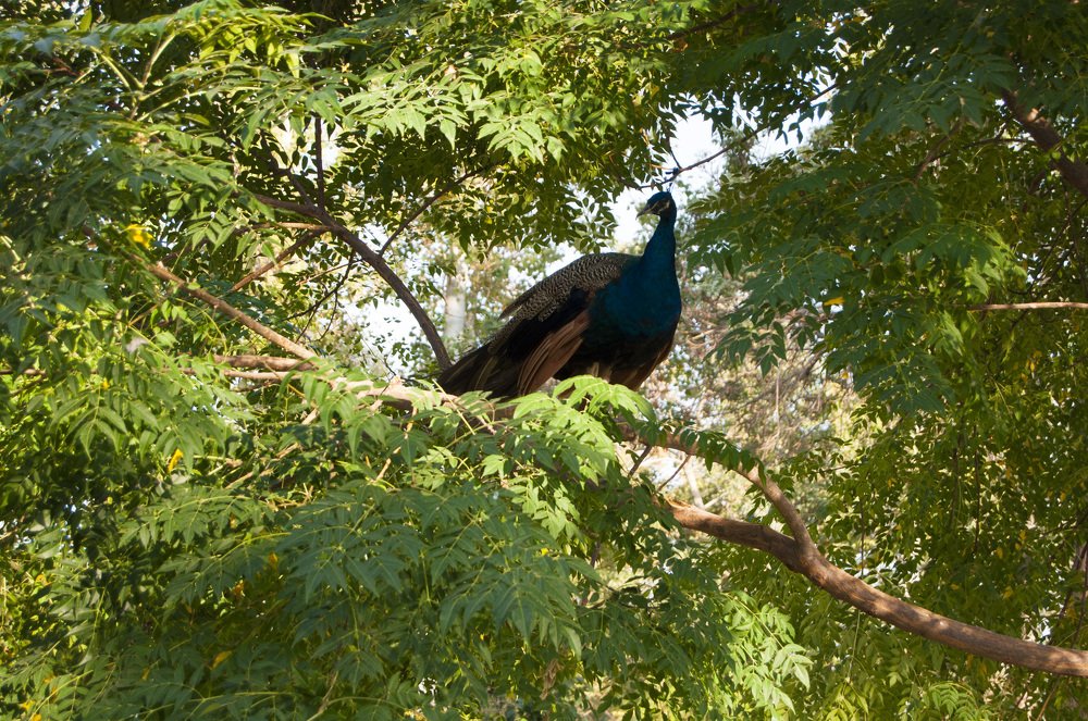 Photograph by Анастасия Езепчук
