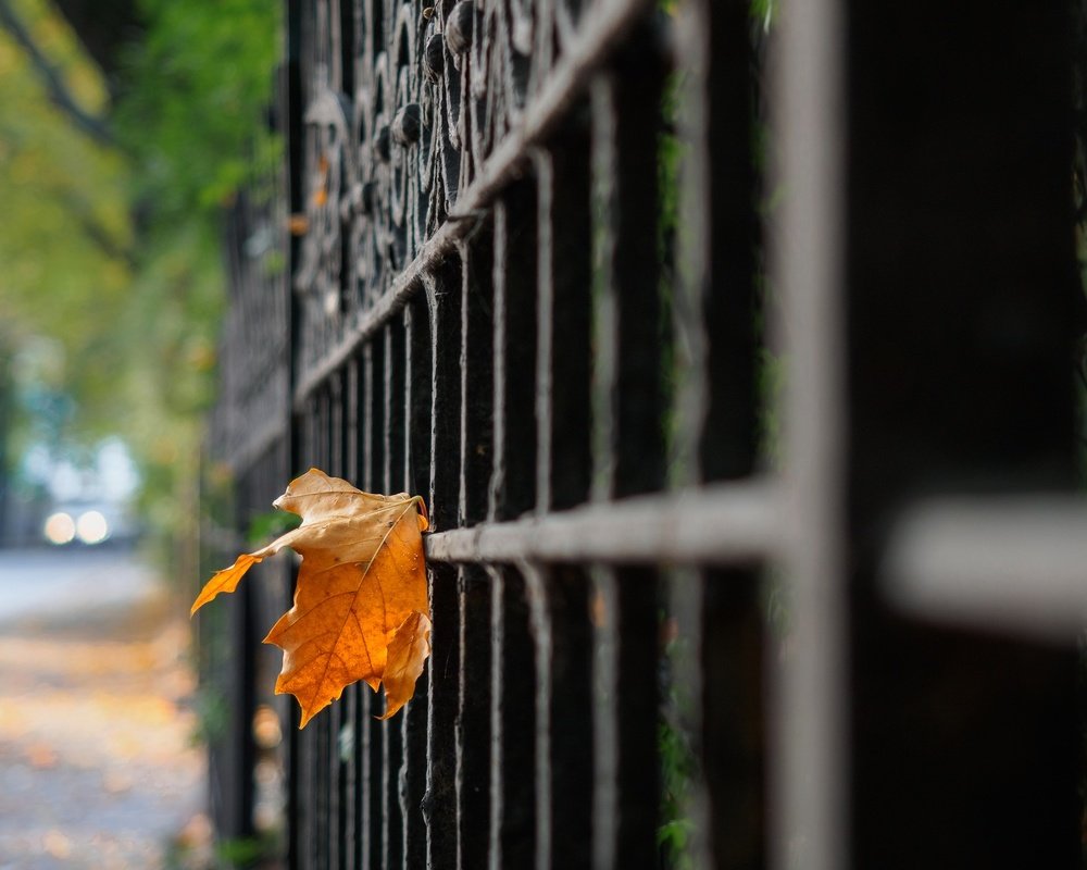 Фотография автора Валентин Ефимов