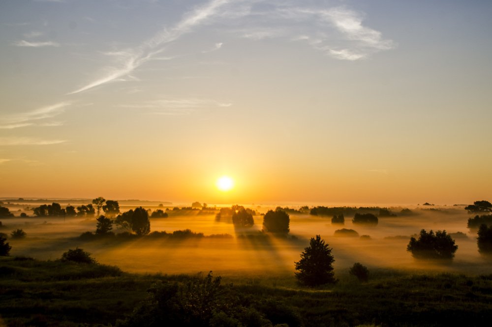 Photograph by Ольга Жогина