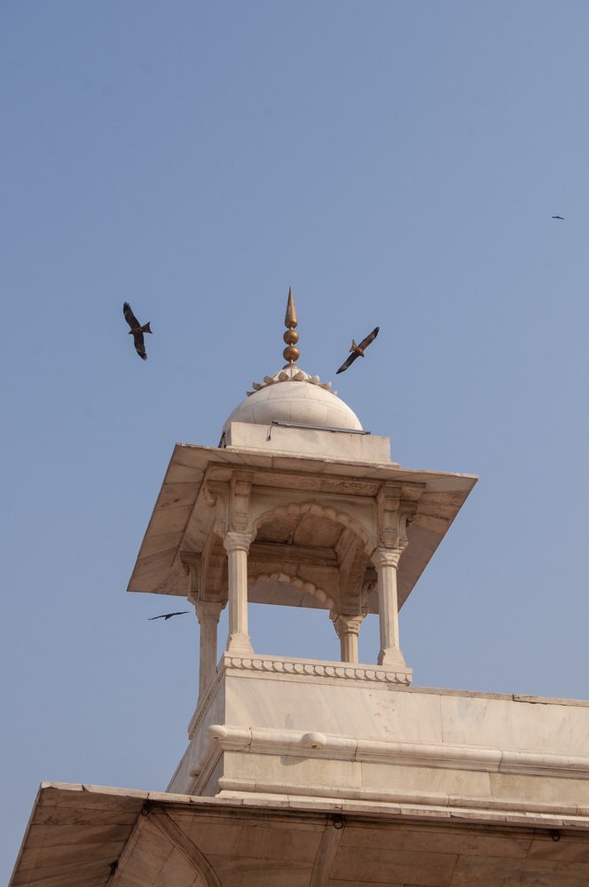 Photograph by Анастасия Езепчук