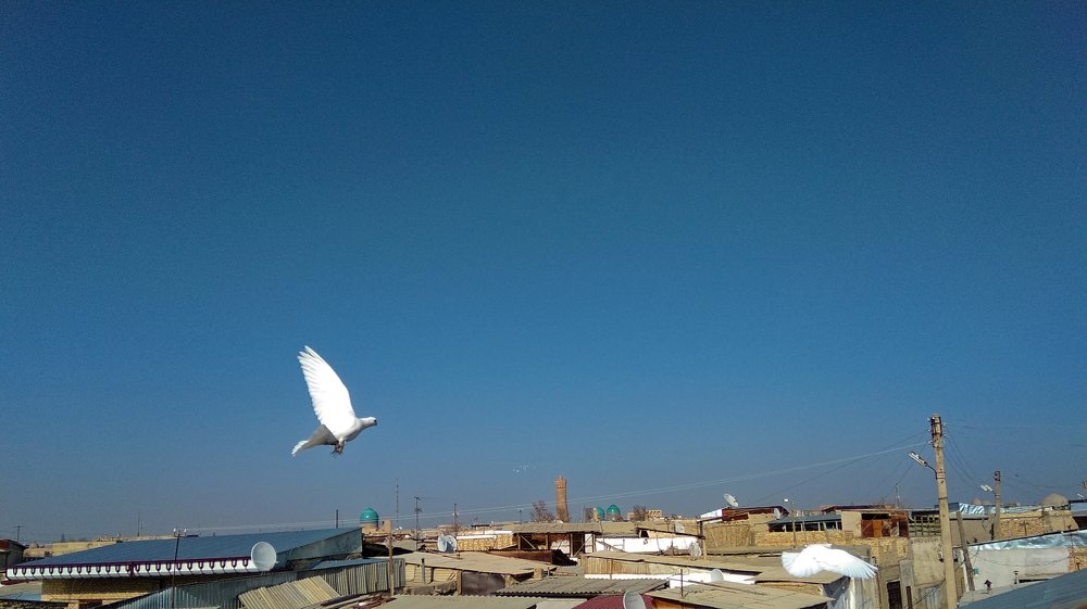 Photograph by Behzod Boltaev