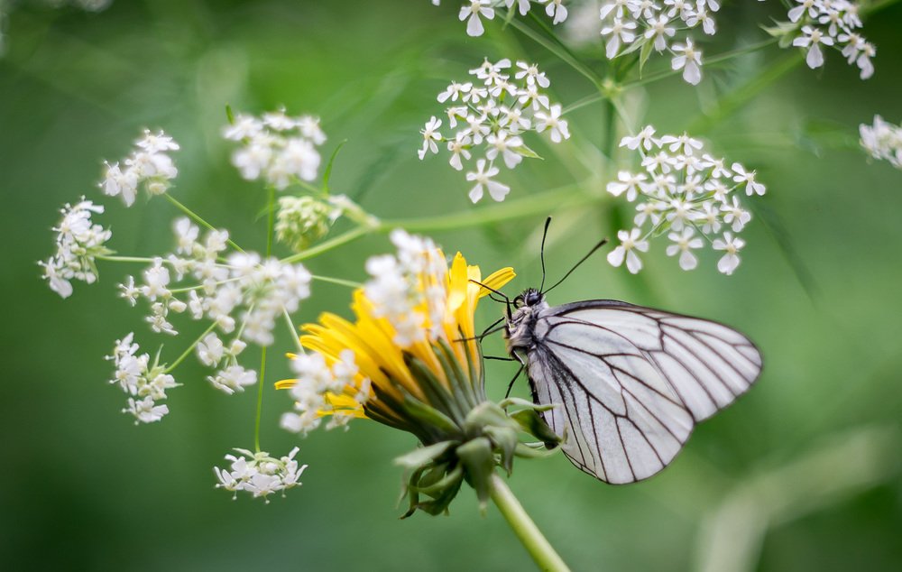 Photograph by Рымаров Александр