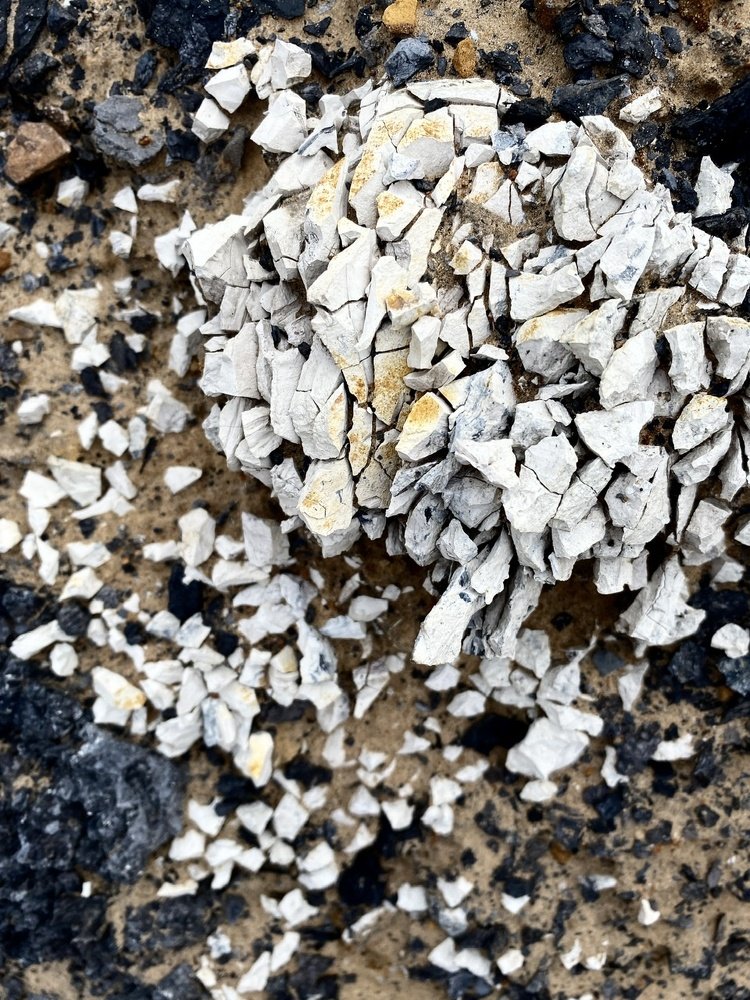 Photograph by Евгения Гудкова