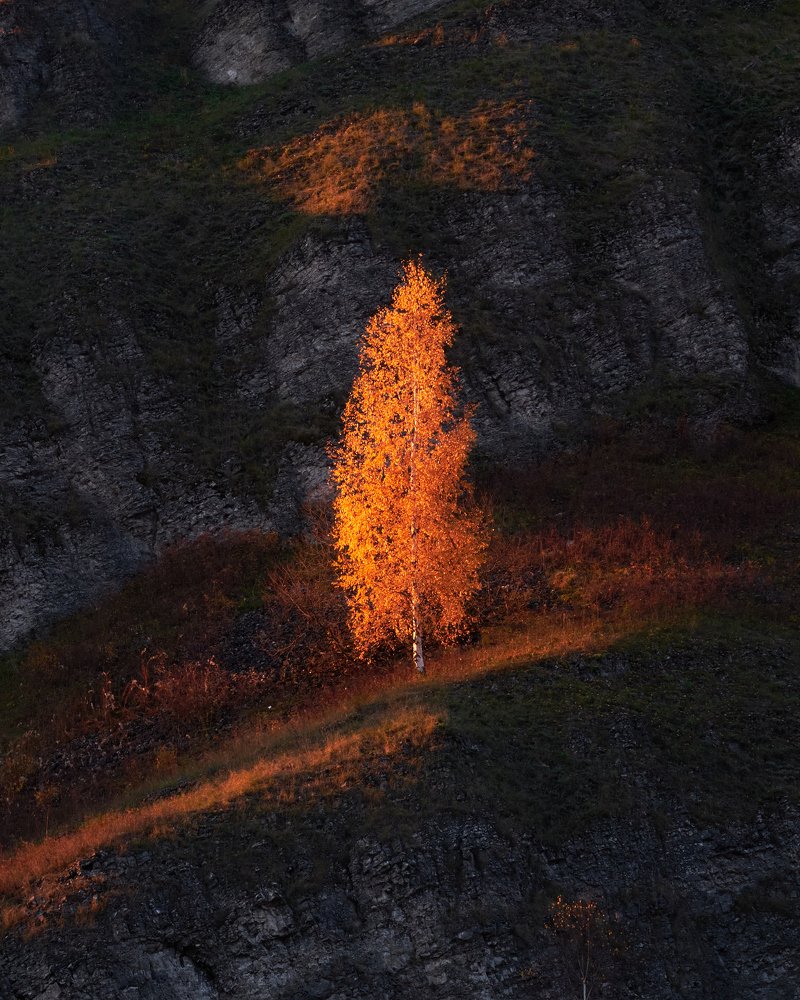 Photograph by Савицкий Ян