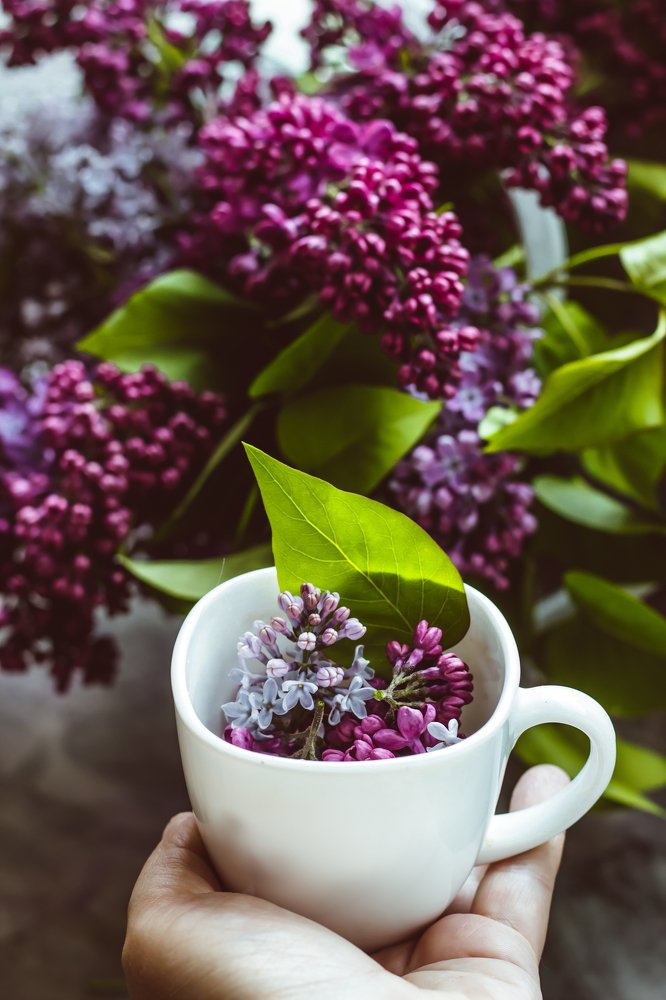 Фотография автора Александра Островская