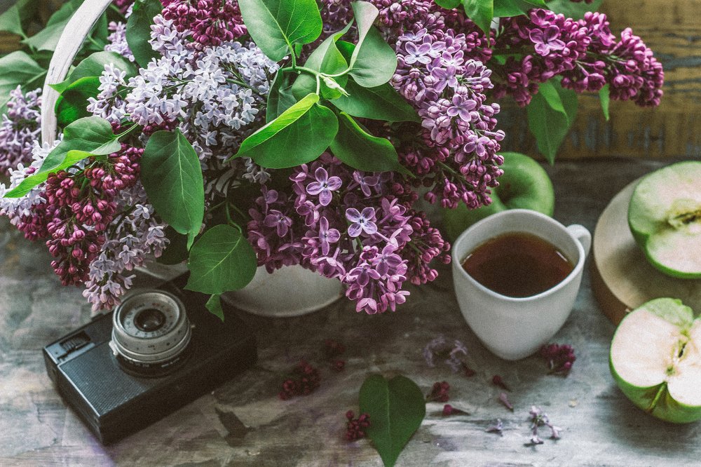 Фотография автора Александра Островская