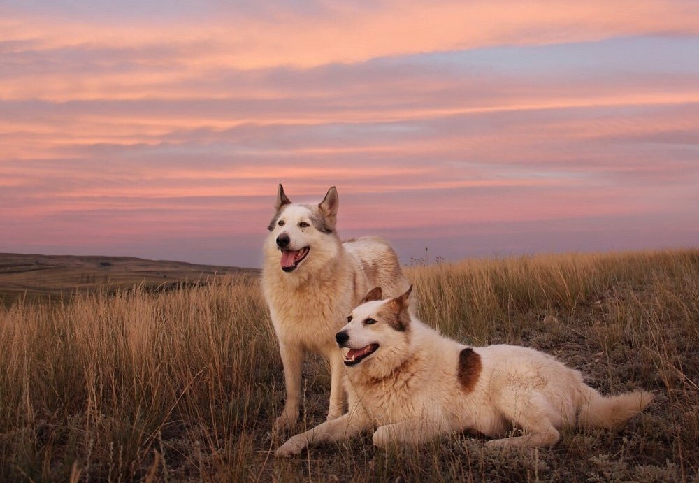 Photograph by Юлия Голубкова