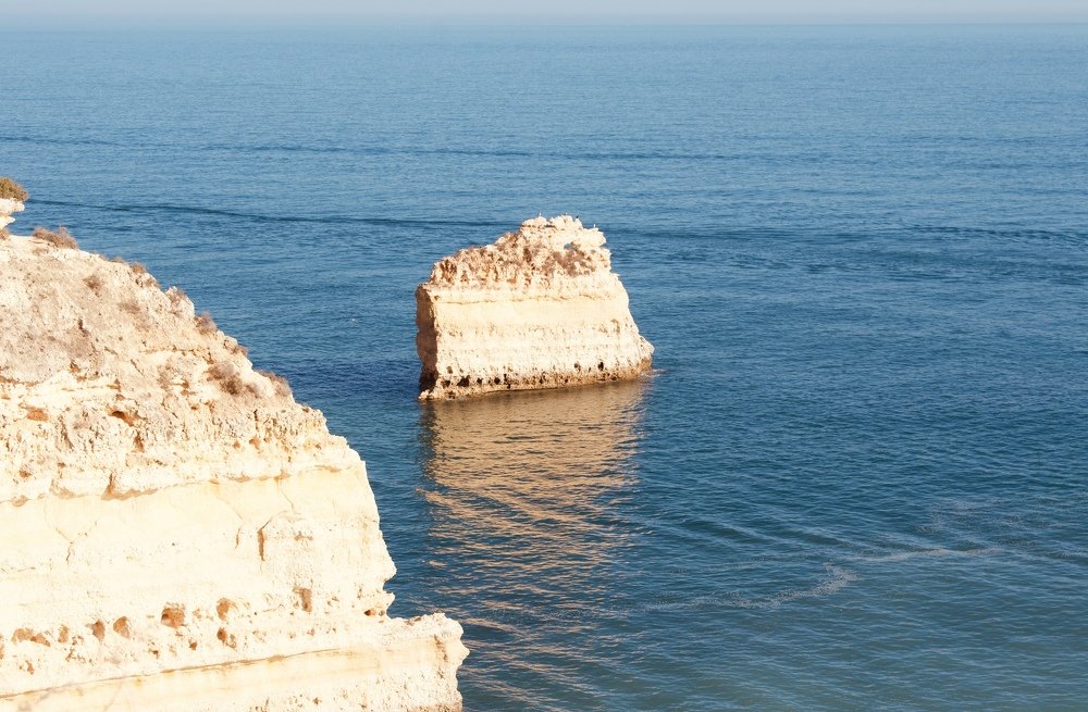 Photograph by Olga Pereira