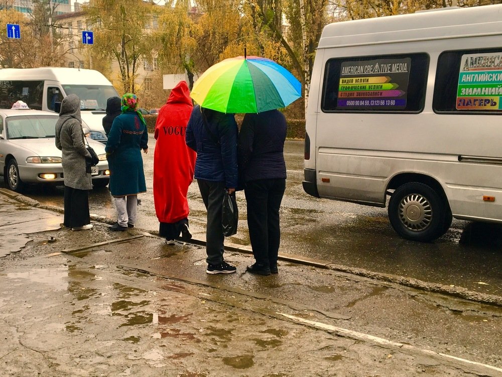 Photograph by Елена Ким