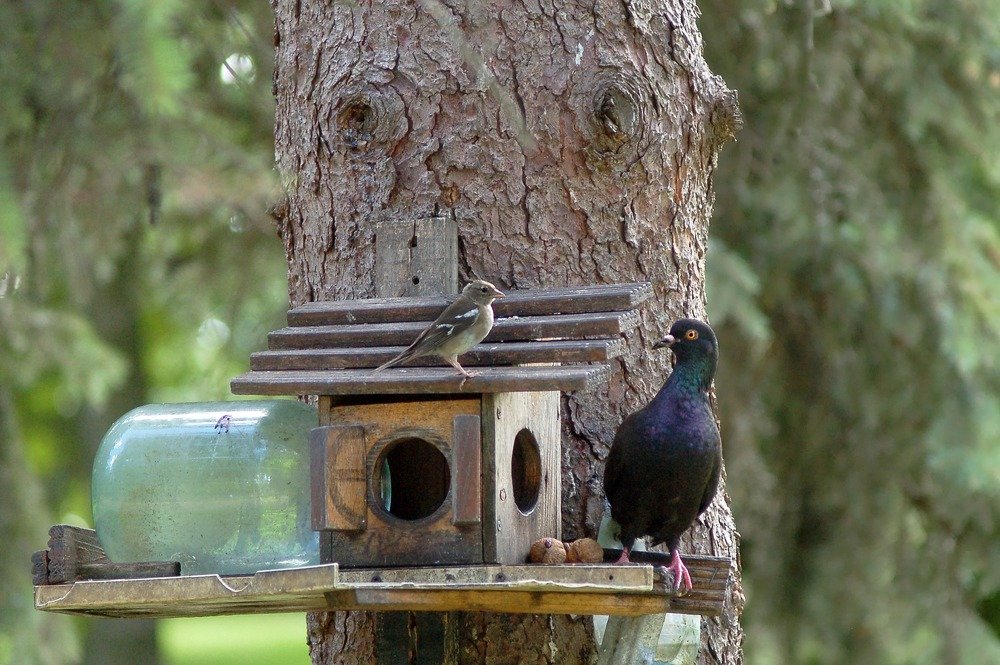 Photograph by Елена Куннова