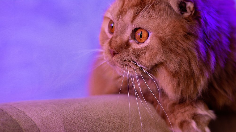 Photograph by Дмитрий Баш