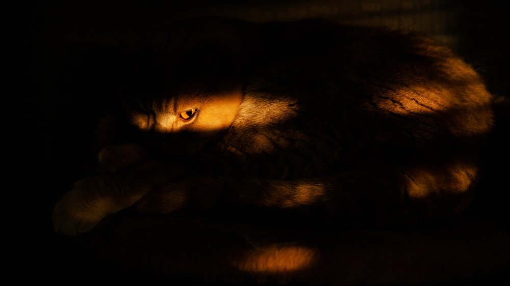 Photograph by Дмитрий Баш