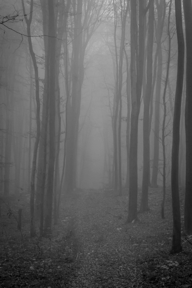 Photograph by Dmytro Tur